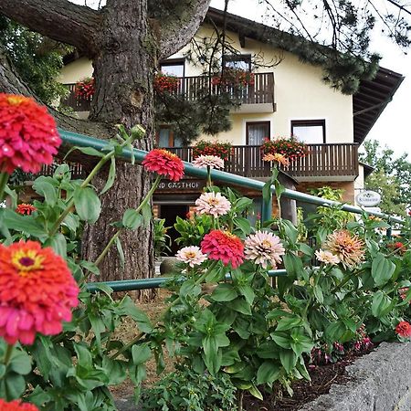 Hotel-Landgasthof Henghuber Rötz المظهر الخارجي الصورة